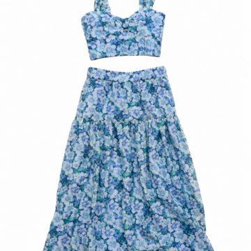 Blue Floral Print Two-Piece Set with Cropped Bralette Top and Tiered Maxi Skirt
